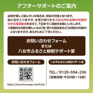 ふるさと納税 福岡・八女お楽しみプレミアム定期...の詳細画像4