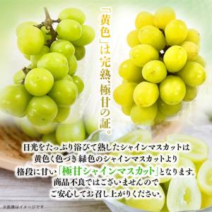 ふるさと納税 福岡・八女お楽しみプレミアム定期...の詳細画像2