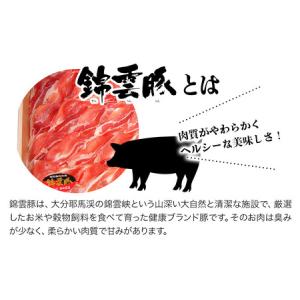 ふるさと納税 錦雲豚 麻婆豆腐の素 200g×...の詳細画像3