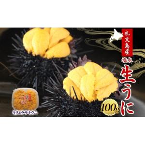 ふるさと納税  北海道 礼文島産 無添加 塩水ウニ （ キタムラサキウニ