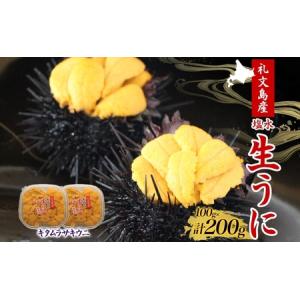 ふるさと納税  北海道 礼文島産 無添加 塩水ウニ （ キタムラサキウニ