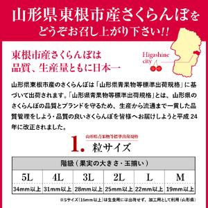 ふるさと納税 2026年 東根産さくらんぼ「佐...の詳細画像1
