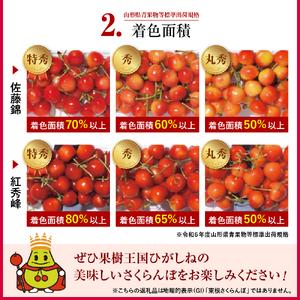 ふるさと納税 2026年 東根産さくらんぼ「佐...の詳細画像2