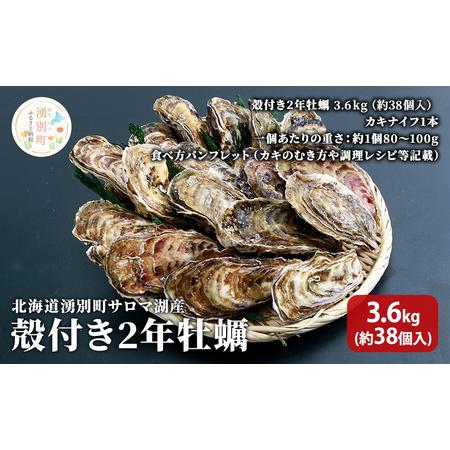 ふるさと納税 北海道 湧別町 サロマ湖産　殻付き2年 牡蠣 3.6kg(約38個入) カキ 魚貝類 ...