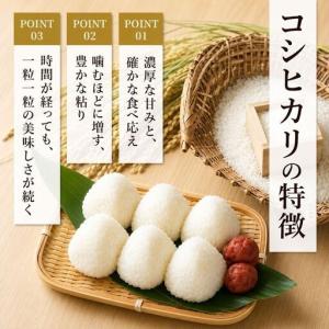 ふるさと納税 雪室貯蔵 魚沼産コシヒカリ無洗米...の詳細画像2