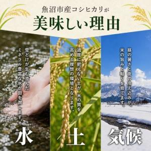 ふるさと納税 雪室貯蔵 魚沼産コシヒカリ無洗米...の詳細画像4