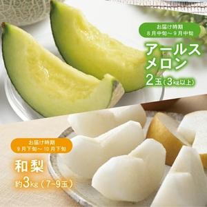 ふるさと納税 SF0294 【3回定期便】酒田...の詳細画像2