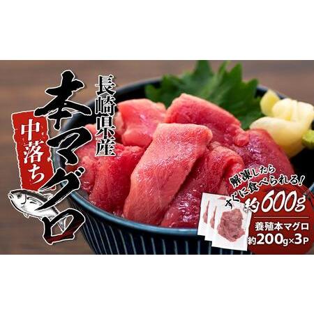 ふるさと納税 長崎県産　本マグロ中落ち（約600ｇ）【マグロ 鮪 中落 小分け 魚 魚介類 海鮮丼 ...