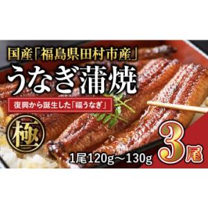 ふるさと納税 国産 福うなぎ 蒲焼 (120g〜130g) 3尾 肝...