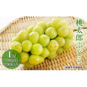 ふるさと納税 ぶどう 2024年 先行予約 桃太郎 ぶどう 1房（700g以上）化粧箱入り ブドウ ...