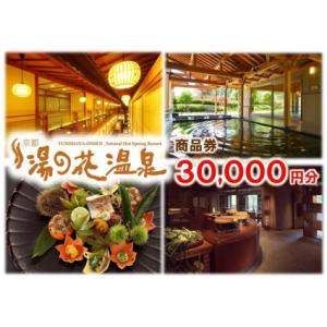 ふるさと納税 【宿泊やお食事に】京都 湯の花温泉...の商品画像
