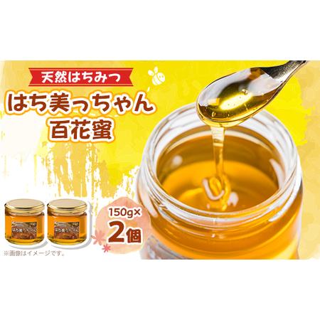 ふるさと納税 天然はちみつ「はち美っちゃん」　百花蜜　150g×2個【1364864】 兵庫県尼崎市
