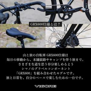 ふるさと納税 【VIGORE】山と旅の自転車プ...の詳細画像2
