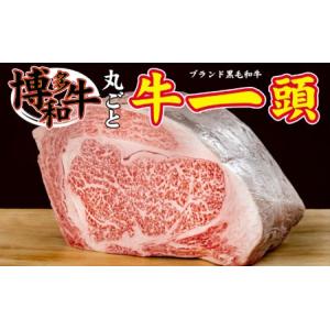 ふるさと納税 博多和牛まるごと1頭！！オーダーカット致します！【配送不可：離島】 お肉 牛肉 牛一頭 一頭買い やわらかい 肉汁溢れる 濃厚 旨.. 福岡県朝倉市