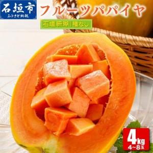 ふるさと納税 ZH-14 フルーツパパイヤ４kg 沖縄県石垣市