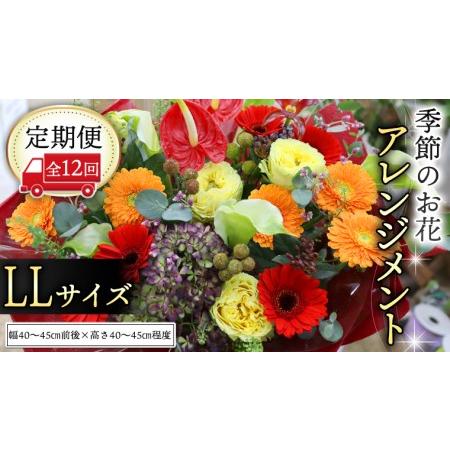 ふるさと納税 【 定期便 12ヶ月 】 毎月届く 季節の アレンジメント LLサイズ 花 生花 1年...