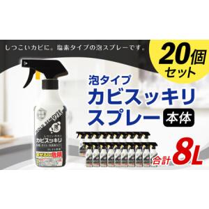 ふるさと納税 カビスッキリスプレー 本体 塩素タイプ 泡スプレー カビ 福岡県嘉麻市