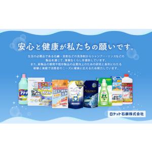 ふるさと納税 カビスッキリスプレー 本体 塩素...の詳細画像1