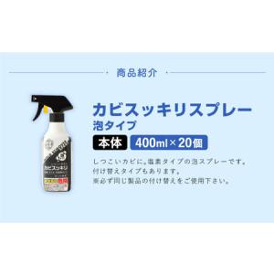 ふるさと納税 カビスッキリスプレー 本体 塩素...の詳細画像3