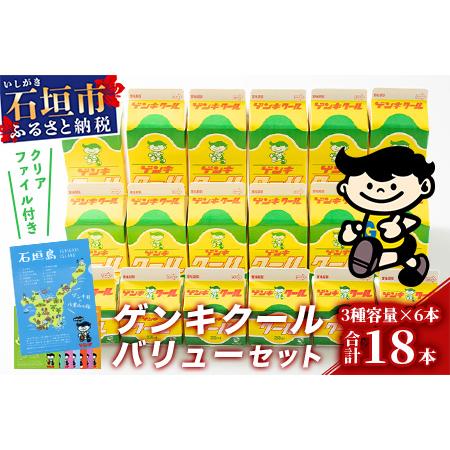 ふるさと納税 【ふるさと納税限定】ゲンキクールバリューセット【八重山ゲンキ乳業】【石垣島のソウルドリ...
