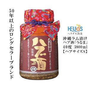 龍泉酒造】 泡盛漬 ハブ入り ハブ酒 40度 420ml : 沖縄石垣島のお