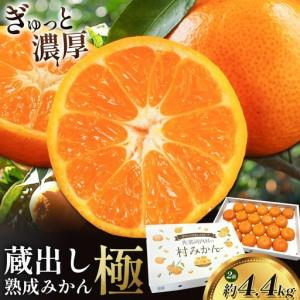 ふるさと納税 みかん 極 蔵出し熟成 2箱 みかん 徳島県佐那河内村