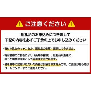 ふるさと納税 北海道産 ななつぼし 10kg ...の詳細画像4