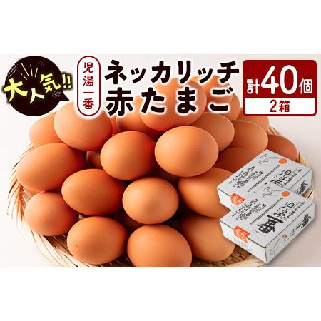 ふるさと納税 ＜児湯養鶏自慢の卵 ＞ネッカリッチ赤たまご「児湯一番」計40個（20個入×2箱）【B1...