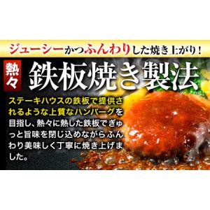 ふるさと納税 ハンバーグ 10個 国産のお肉使...の詳細画像1