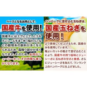 ふるさと納税 ハンバーグ 10個 国産のお肉使...の詳細画像2
