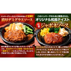 ふるさと納税 ハンバーグ 10個 国産のお肉使...の詳細画像3