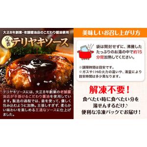 ふるさと納税 ハンバーグ 10個 国産のお肉使...の詳細画像4
