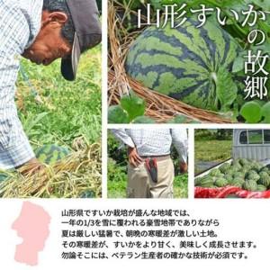 ふるさと納税 《先行予約 2026年7月中旬〜...の詳細画像2