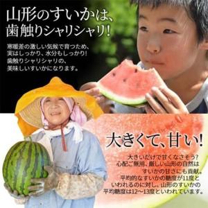 ふるさと納税 《先行予約 2026年7月中旬〜...の詳細画像3