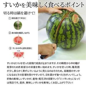 ふるさと納税 《先行予約 2026年7月中旬〜...の詳細画像4