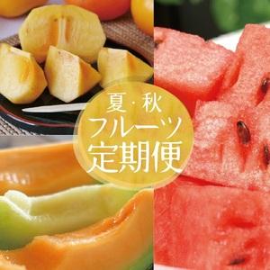 ふるさと納税 SE0505　【3回定期便】自然の恵み　夏・秋フルーツ定期便2026 (小玉スイカ、彩...