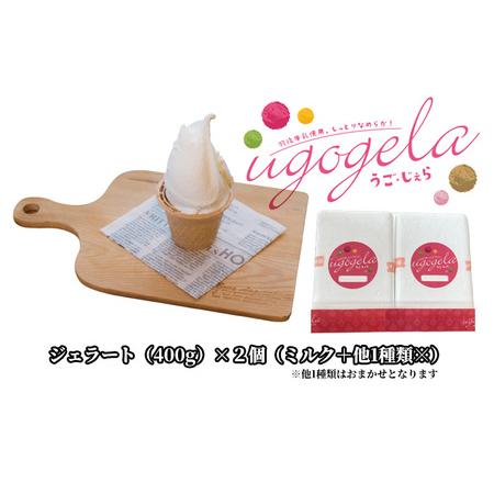ふるさと納税 本格ジェラート 羽後町産生乳使用！「うご・じぇら」400g×2個セット（ミルク＋他1種...