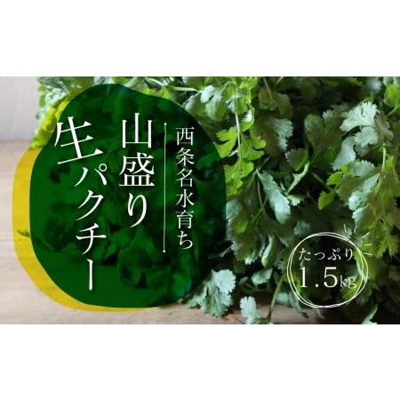 ふるさと納税 西条名水育ちの山盛り生パクチー1.5kg 愛媛県西条市