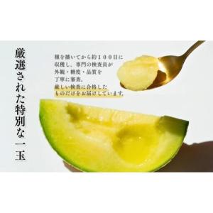 ふるさと納税 クラウンメロン 6玉 山等級 特...の詳細画像4