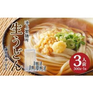 ふるさと納税 うどん 生うどん 讃岐うどん さぬきうどん