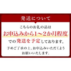 ふるさと納税 【ふるなび限定】エスティ ローダ...の詳細画像1