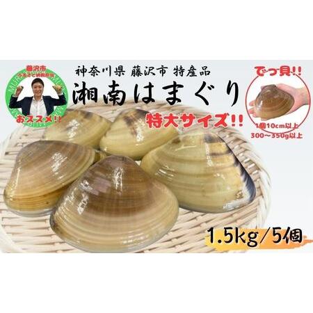 ふるさと納税 湘南はまぐり 1.5kg 冷凍  焼き蛤 酒蒸し お吸い物　炊き込みご飯 パスタ 神奈...