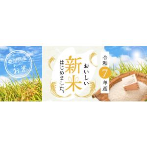 ふるさと納税 〈数量限定〉【幻の潮かぶり米】令...の詳細画像1