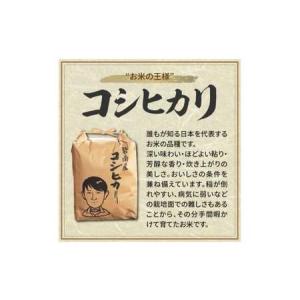 ふるさと納税 〈数量限定〉【幻の潮かぶり米】令...の詳細画像3