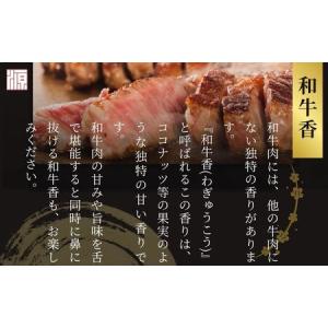 ふるさと納税 <定期便 12ヶ月>(冷凍) シ...の詳細画像3