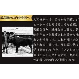 ふるさと納税 <定期便 12ヶ月>(冷凍) シ...の詳細画像4