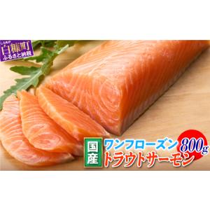 ふるさと納税 国産ワンフローズントラウトサーモン_T011-0874