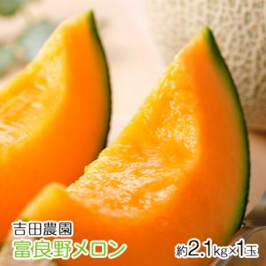 ふるさと納税 【2026年8月下旬より発送】北海道 富良野 メロン 赤肉 約2.1kg×1玉 (吉田...