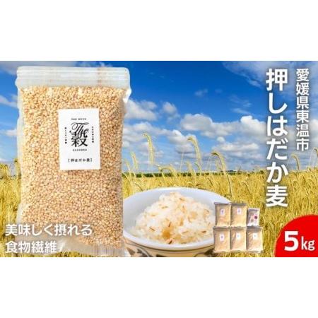 ふるさと納税 押しはだか麦5kgセット もち麦 お徳用 愛媛 食物繊維 5袋  愛媛県東温市