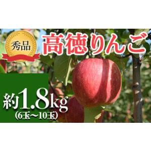 ふるさと納税 【令和8年産先行予約】 JA りんご 高徳 約1.8kg (6〜10玉 秀以上) 《令和8年11月上旬〜下旬発送》 『JA山形おきたま』 林檎 リンゴ.. 山形県南陽市